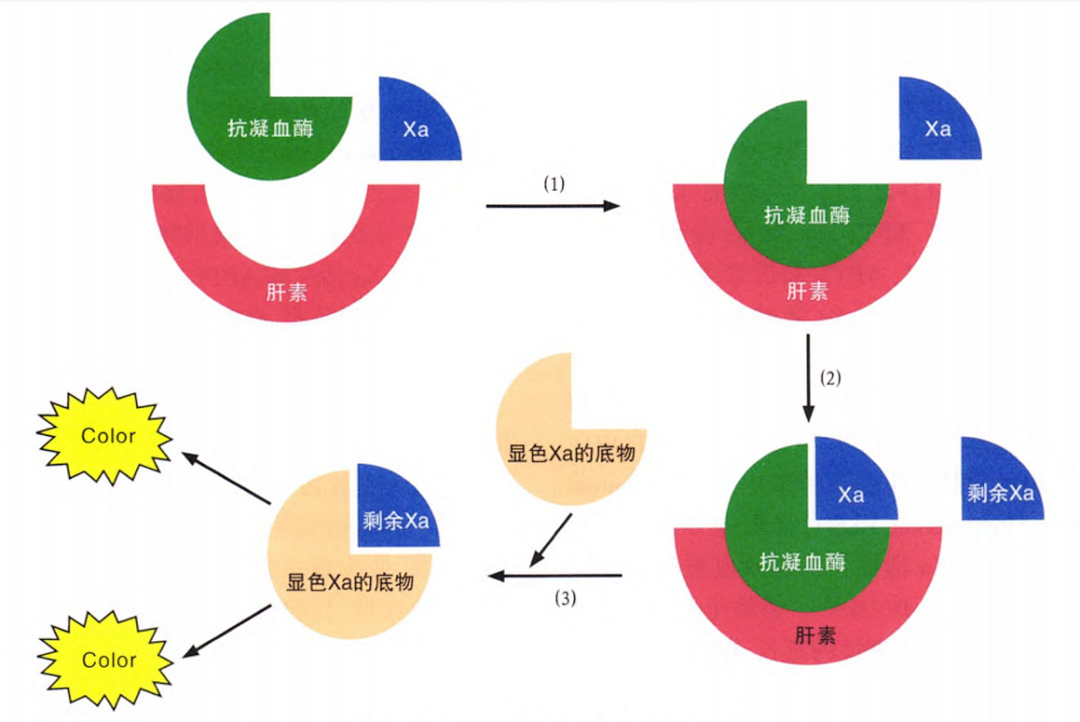 國產(chǎn)抗Xa質量如何？多中心臨床研究來告訴你！